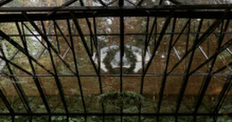 Фото №19 зала Due to love
