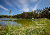 Фото №16 зала Forest-lake