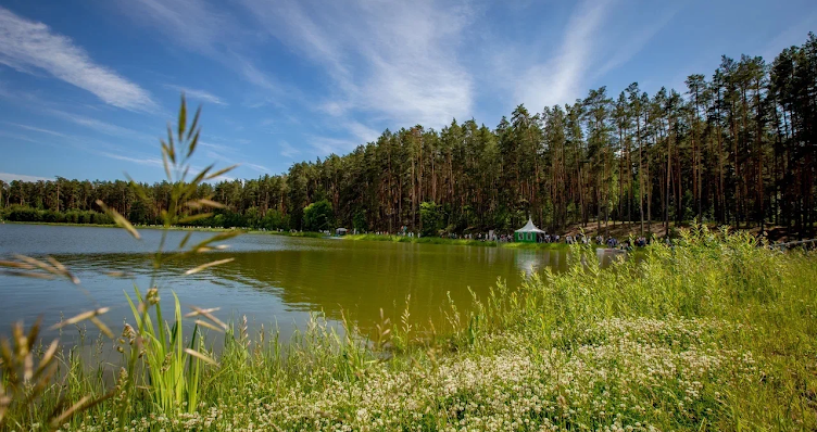 Фото №16 зала Forest-lake