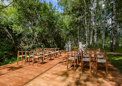 Фото №17 зала Green place
