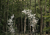 Фото №9 зала Due to love