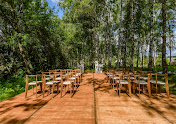Фото №18 зала Green place