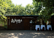 Фото №8 зала Дубровский