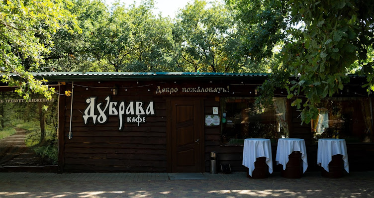 Фото №8 зала Дубровский