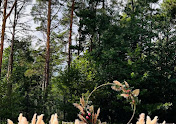 Фото №16 зала Hevaa hall