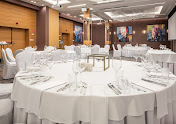 Фото №10 зала DoubleTree by Hilton Novosibirsk